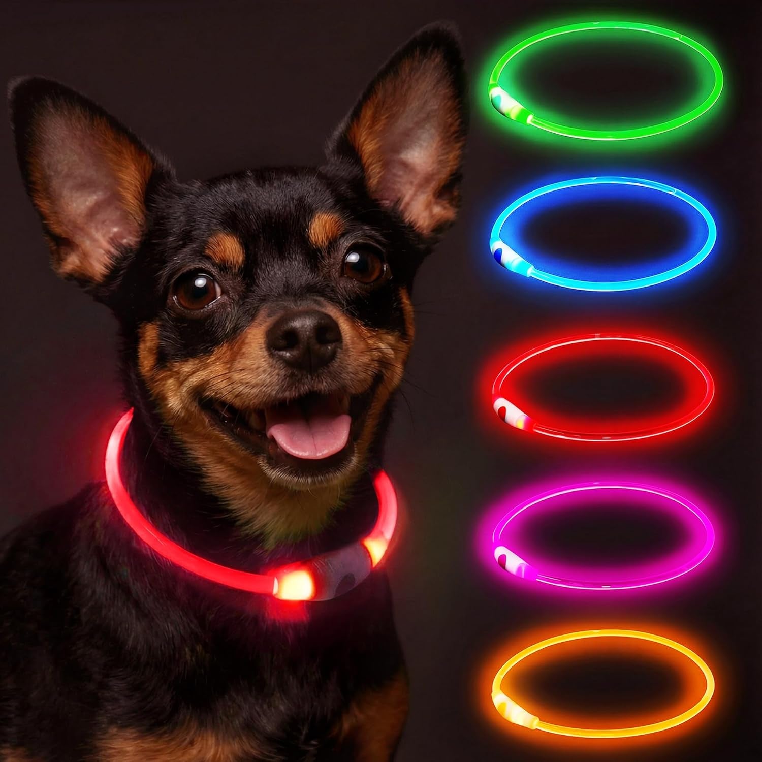 Light up Dog Collar Rechargeable and Rechargeable