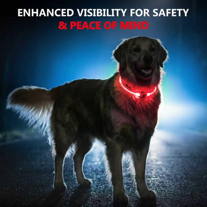 Light up Dog Collar Rechargeable and Rechargeable