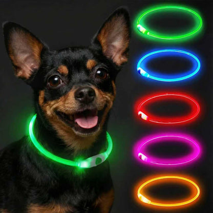 Light up Dog Collar Rechargeable and Rechargeable