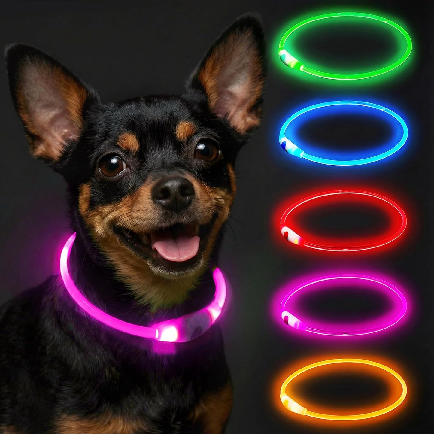 Light up Dog Collar Rechargeable and Rechargeable
