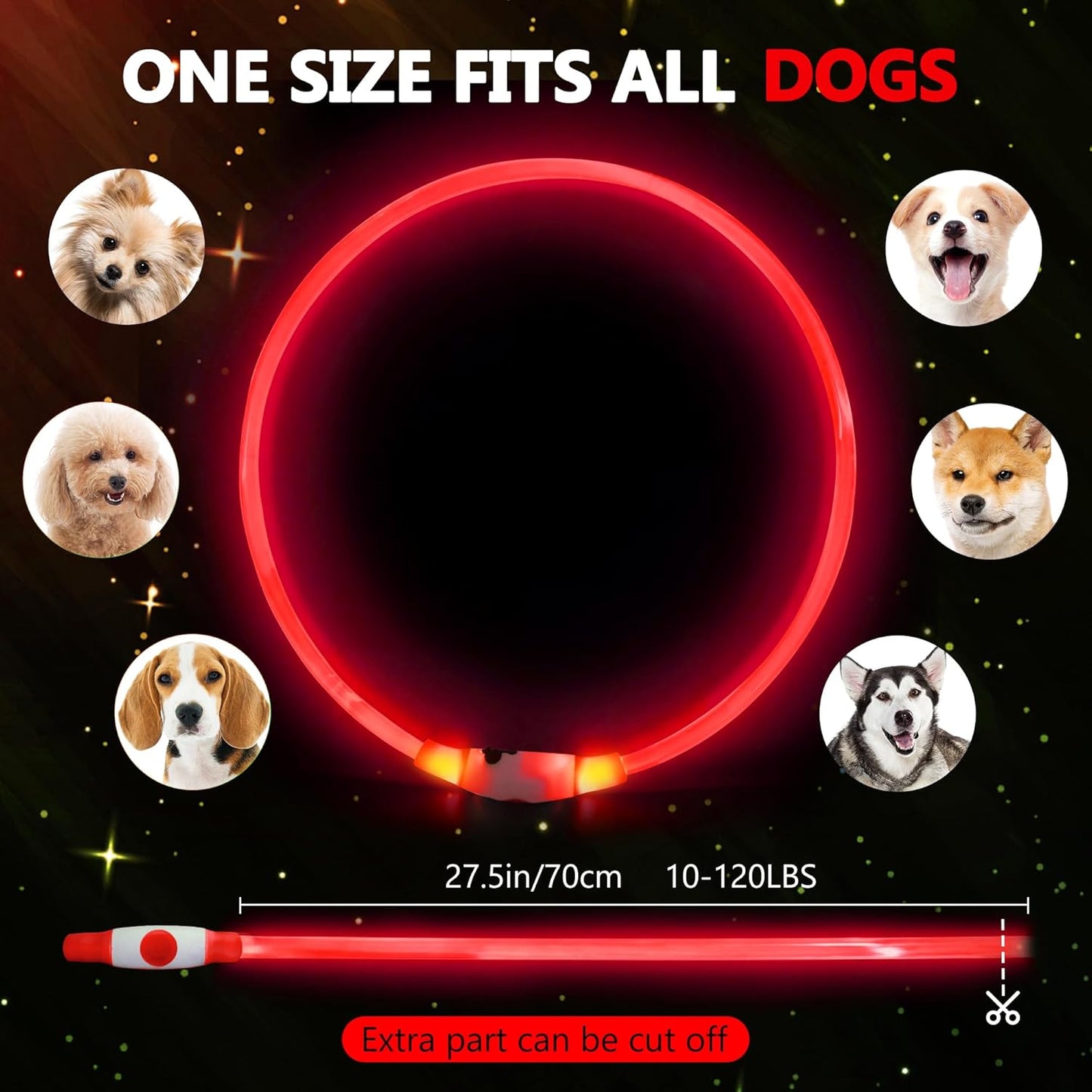 Light up Dog Collar Rechargeable and Rechargeable