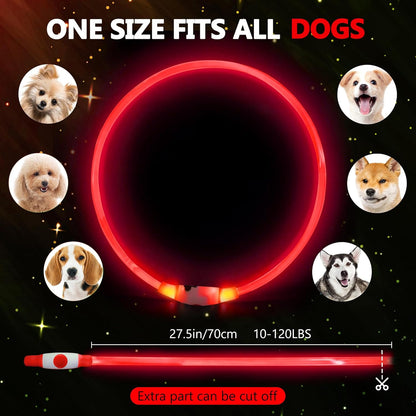 Light up Dog Collar Rechargeable and Rechargeable
