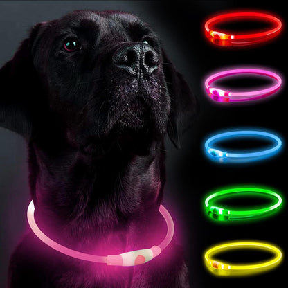 Light up Dog Collar Rechargeable and Rechargeable