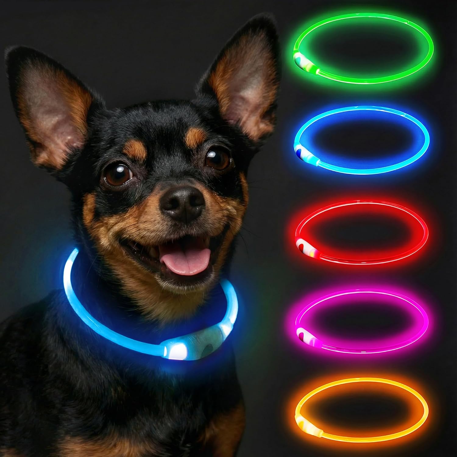 Light up Dog Collar Rechargeable and Rechargeable