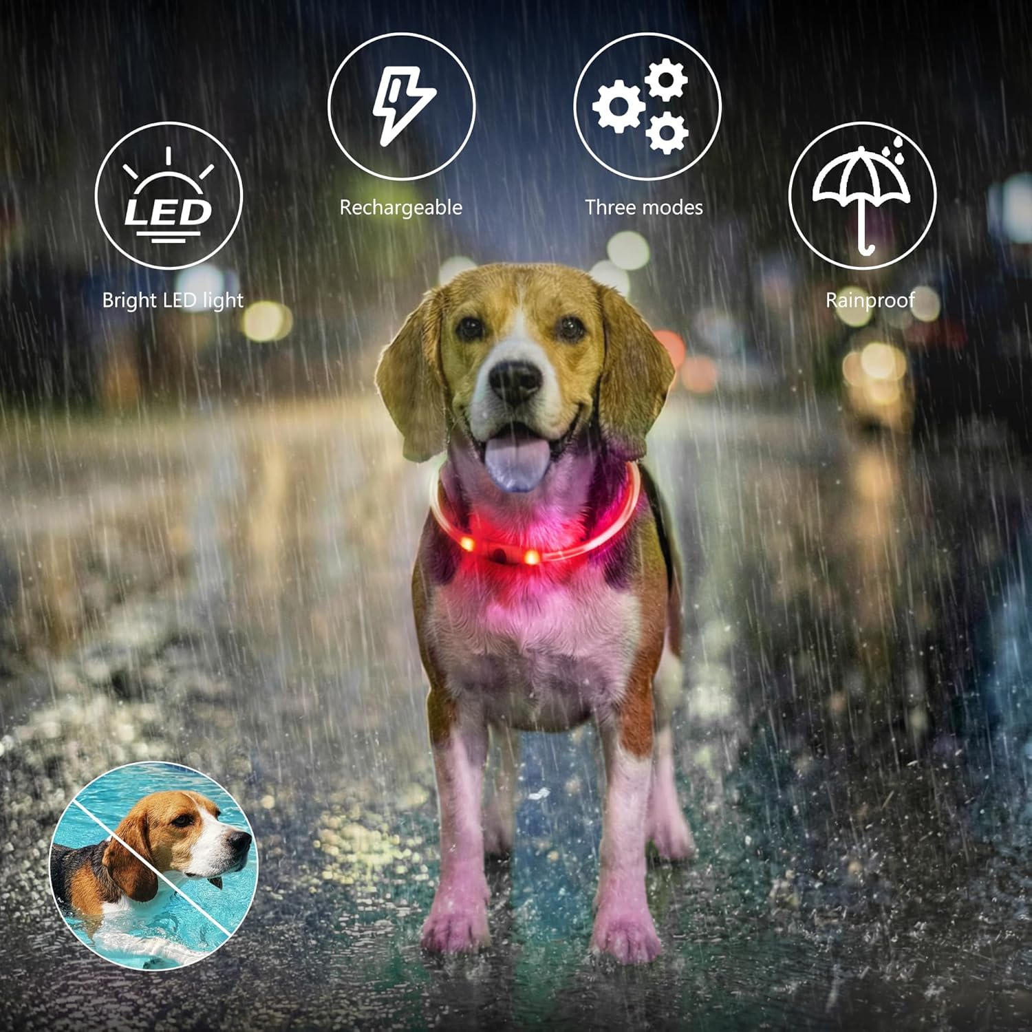 Light up Dog Collar Rechargeable and Rechargeable